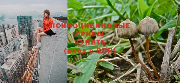 гашишное масло Заволжье