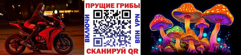 Псилоцибиновые грибы GOLDEN TEACHER  Вышний Волочёк 